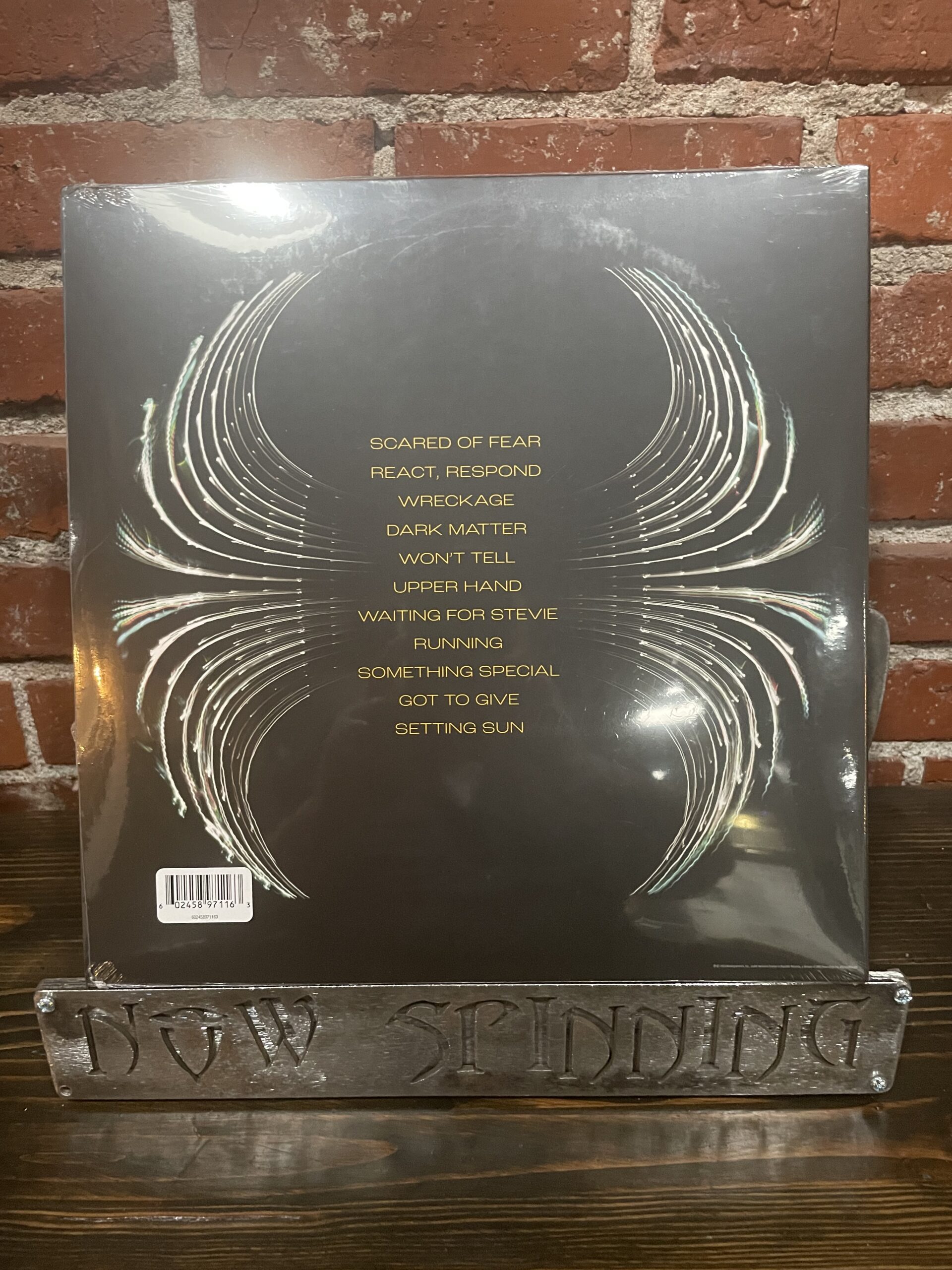 Pearl Jam - Dark Matter LP (Black Vinyl) - Image 2