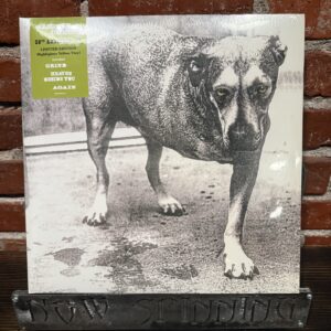 ALICE IN CHAINS: Alice In Chains 2LP 30th Anniversary Highlighter Yellow Vinyl