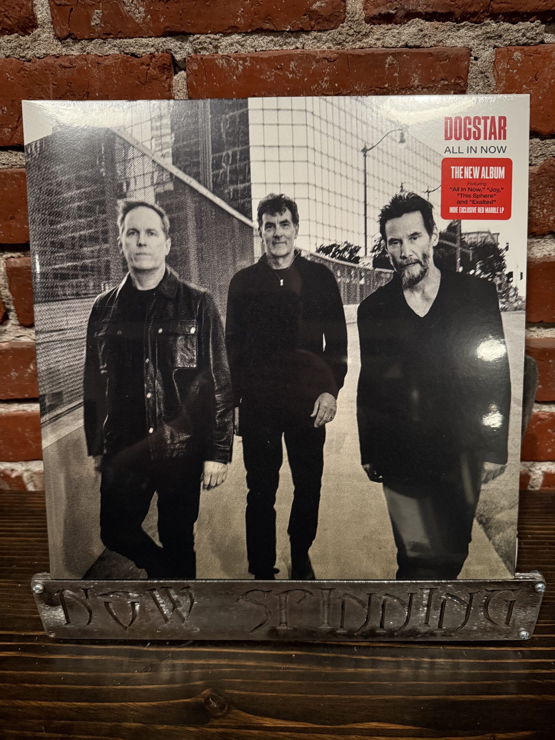DOGSTAR: All In Now LP Indie Exclusive Red Marble Vinyl